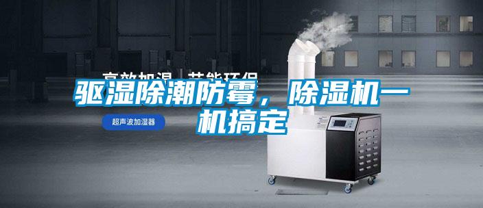 驅(qū)濕除潮防霉，除濕機(jī)一機(jī)搞定