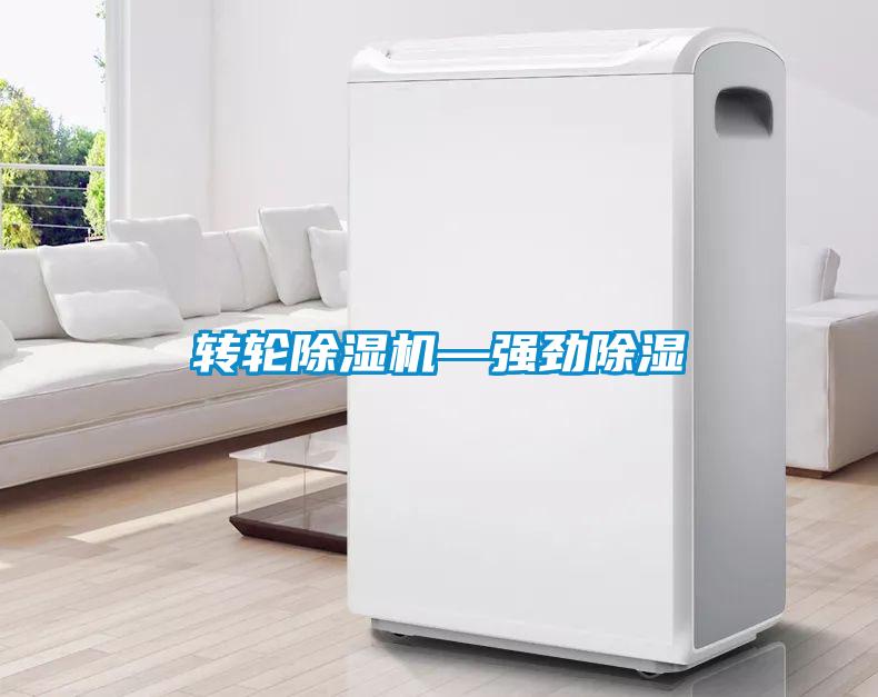 轉輪除濕機—強勁除濕