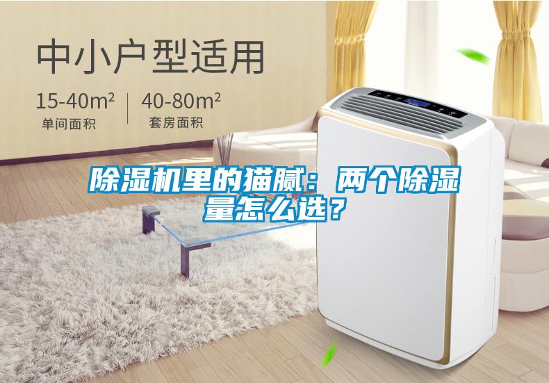 除濕機里的貓膩：兩個除濕量怎么選？