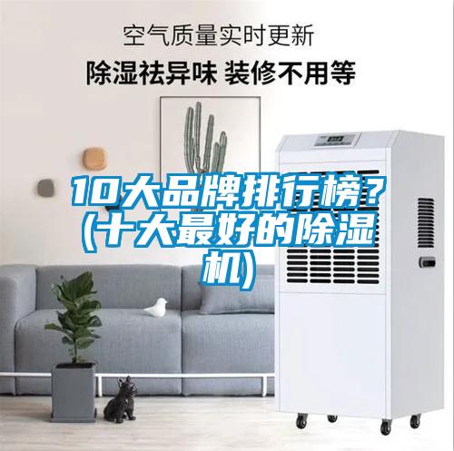 10大品牌排行榜？(十大最好的除濕機)