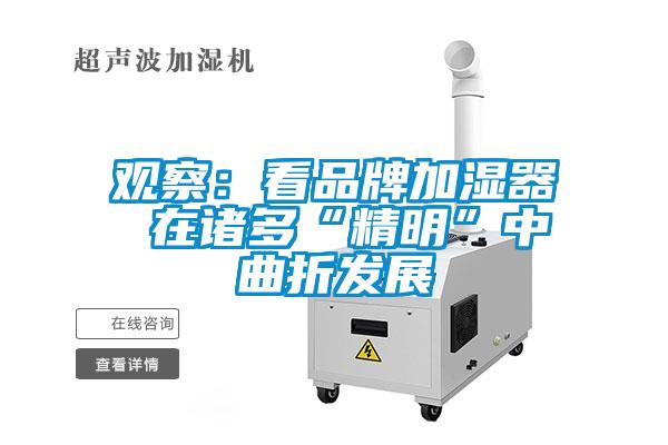 觀察：看品牌加濕器 在諸多“精明”中曲折發展