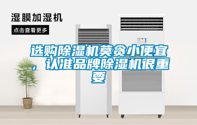 選購除濕機莫貪小便宜，認準品牌除濕機很重要