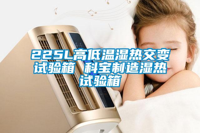 225L高低溫濕熱交變?cè)囼?yàn)箱 科寶制造濕熱試驗(yàn)箱