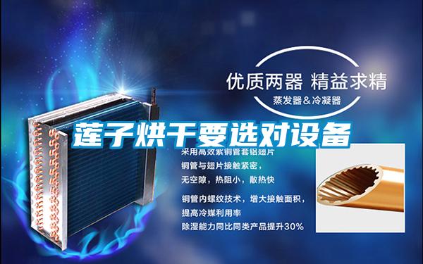 蓮子烘干要選對設備