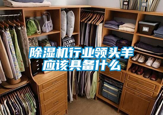 除濕機行業領頭羊應該具備什么