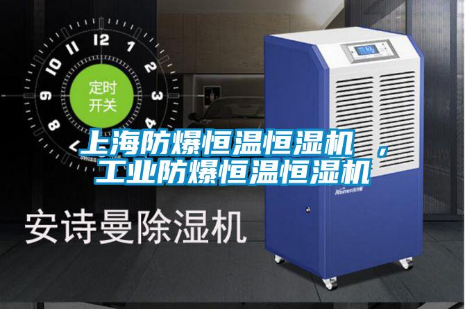 上海防爆恒溫恒濕機 ，工業防爆恒溫恒濕機