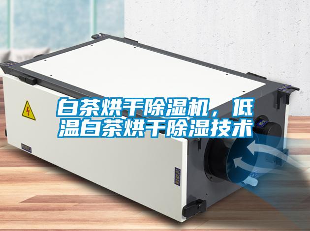 白茶烘干除濕機，低溫白茶烘干除濕技術