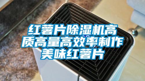 紅薯片除濕機高質(zhì)高量高效率制作美味紅薯片