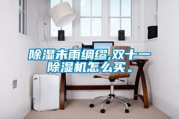 除濕未雨綢繆,雙十一除濕機怎么買。