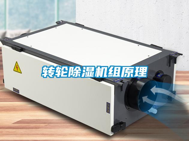 轉(zhuǎn)輪除濕機(jī)組原理