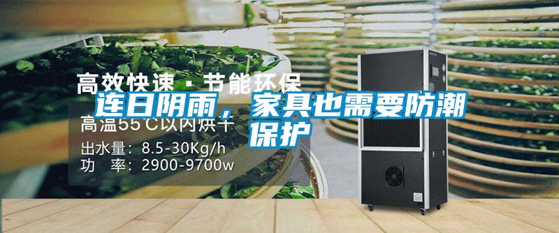 連日陰雨，家具也需要防潮保護