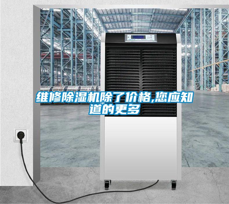 維修除濕機除了價格,您應知道的更多
