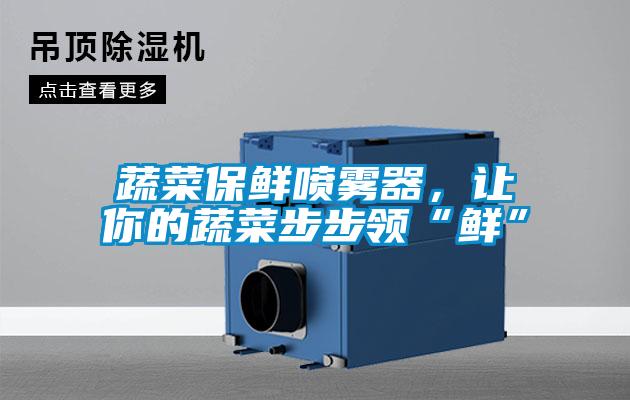 蔬菜保鮮噴霧器，讓你的蔬菜步步領“鮮”