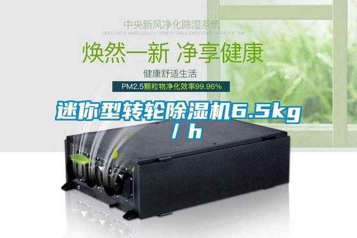 迷你型轉輪除濕機6.5kg／h