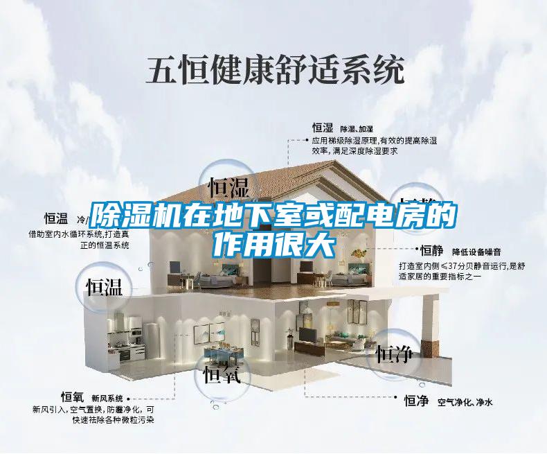 除濕機在地下室或配電房的作用很大