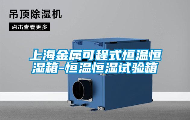 上海金屬可程式恒溫恒濕箱-恒溫恒濕試驗箱
