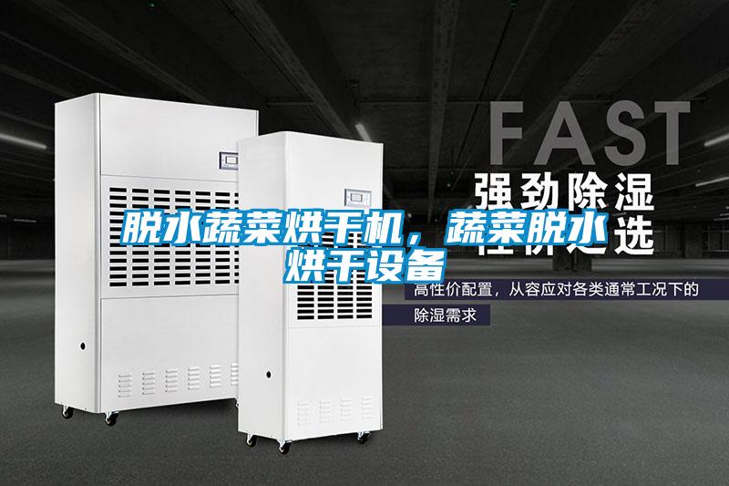 脫水蔬菜烘干機，蔬菜脫水烘干設備
