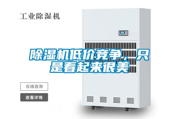 除濕機低價競爭，只是看起來很美