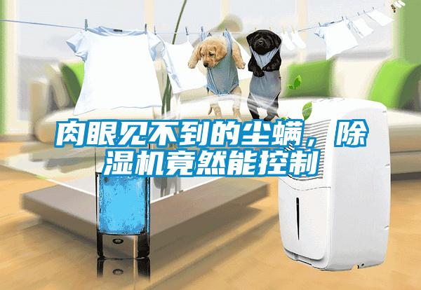 肉眼見不到的塵螨，除濕機竟然能控制
