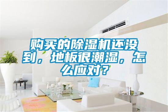 購(gòu)買(mǎi)的除濕機(jī)還沒(méi)到，地板很潮濕，怎么應(yīng)對(duì)？