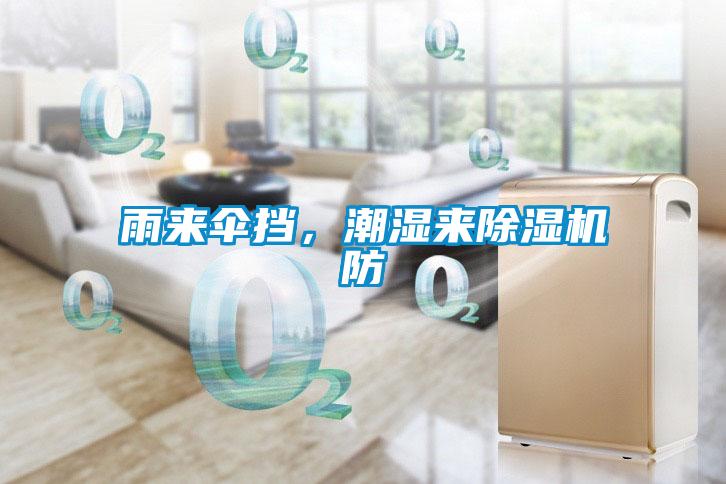 雨來傘擋，潮濕來除濕機防