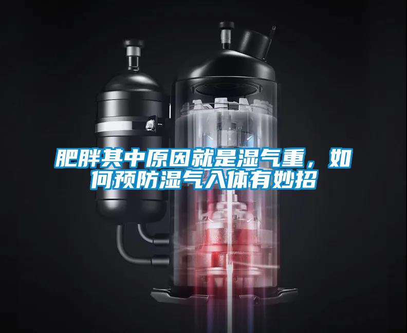 肥胖其中原因就是濕氣重，如何預防濕氣入體有妙招