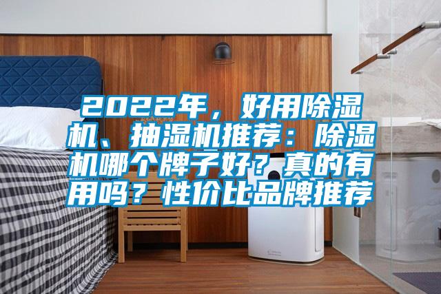 2022年，好用除濕機、抽濕機推薦：除濕機哪個牌子好？真的有用嗎？性價比品牌推薦