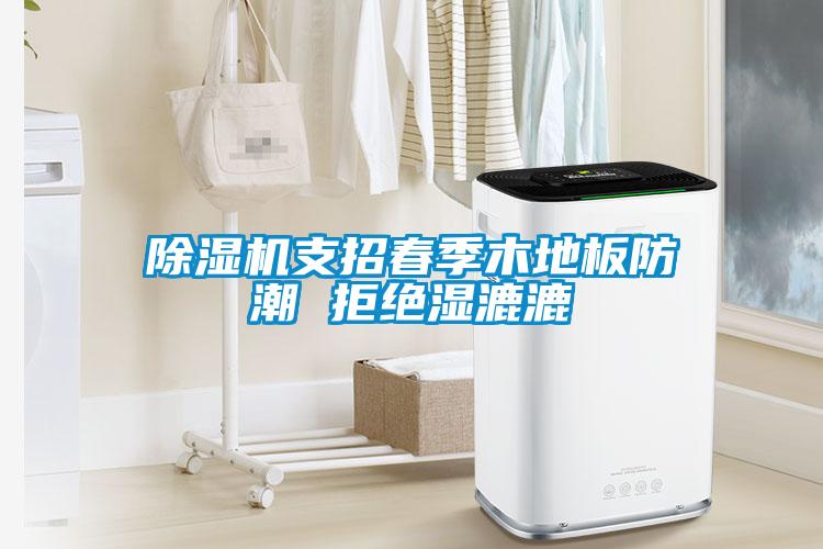 除濕機支招春季木地板防潮 拒絕濕漉漉