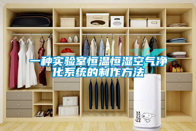 一種實驗室恒溫恒濕空氣凈化系統的制作方法