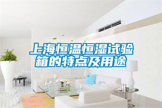 上海恒溫恒濕試驗(yàn)箱的特點(diǎn)及用途