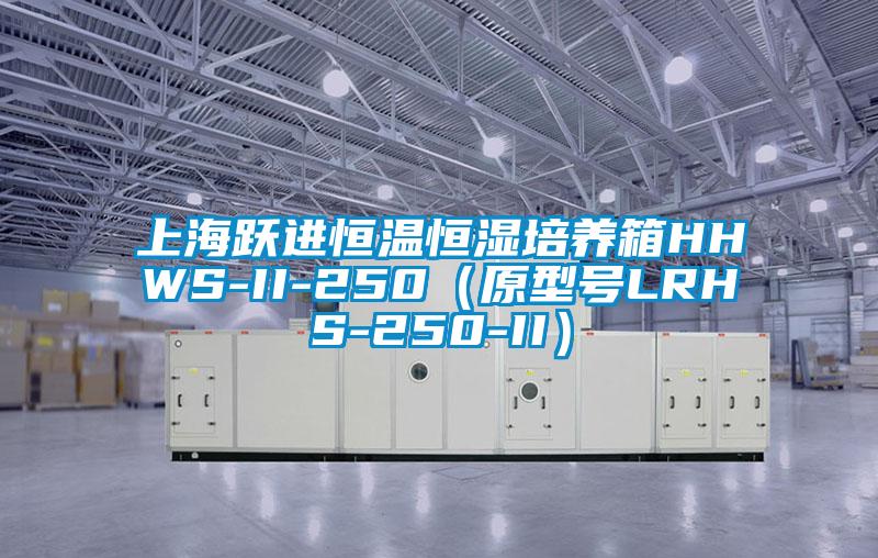 上海躍進恒溫恒濕培養箱HHWS-II-250（原型號LRHS-250-II）