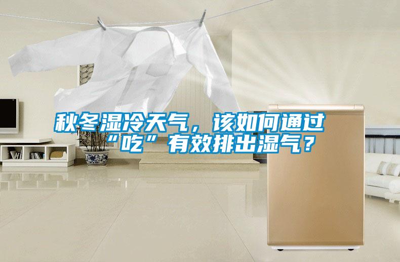 秋冬濕冷天氣，該如何通過“吃”有效排出濕氣？