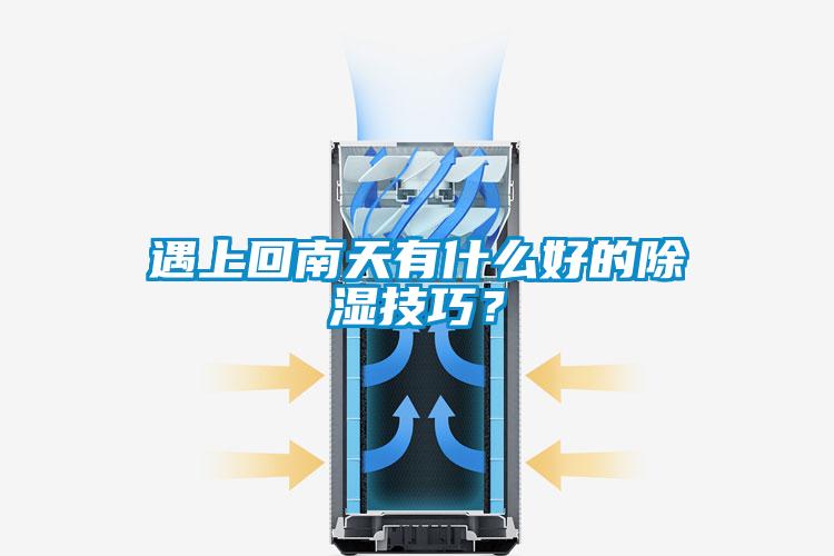 遇上回南天有什么好的除濕技巧？