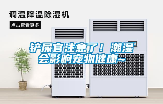 鏟屎官注意了！潮濕會影響寵物健康~