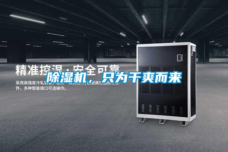 除濕機，只為干爽而來