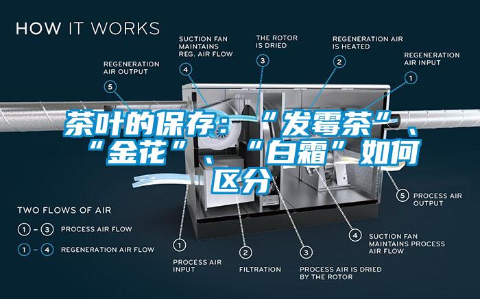 茶葉的保存：“發(fā)霉茶”、“金花”、“白霜”如何區(qū)分
