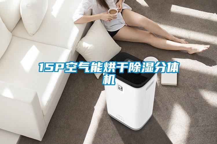 15P空氣能烘干除濕分體機
