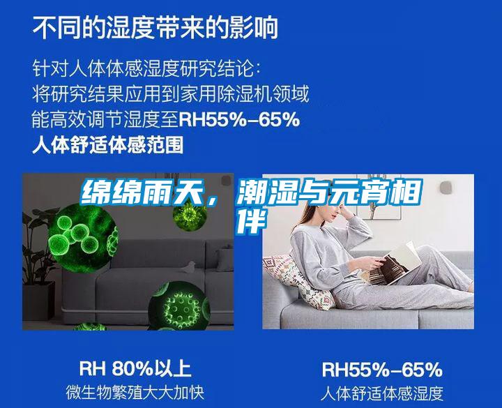 綿綿雨天，潮濕與元宵相伴