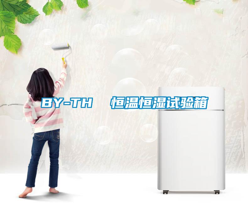 BY-TH  恒溫恒濕試驗箱
