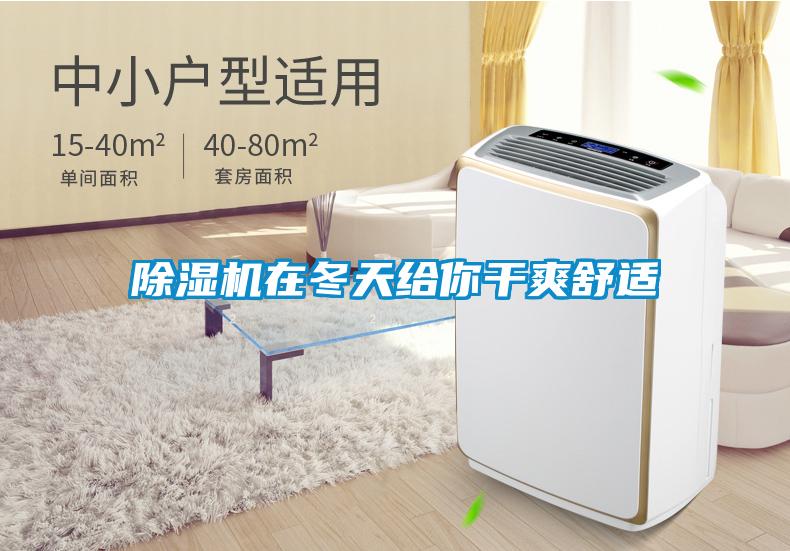 除濕機在冬天給你干爽舒適