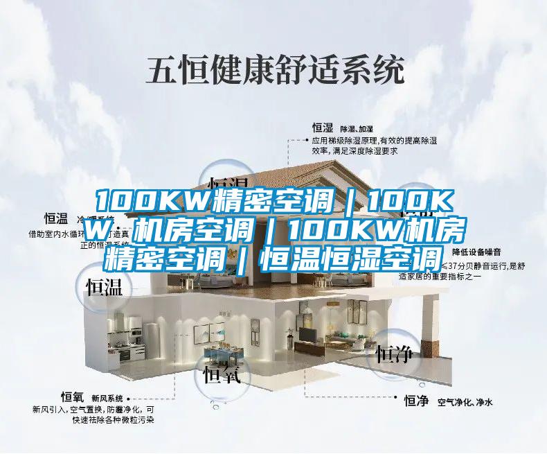100KW精密空調(diào)｜100KW 機(jī)房空調(diào)｜100KW機(jī)房精密空調(diào)｜恒溫恒濕空調(diào)