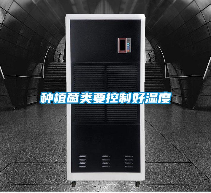 種植菌類要控制好濕度
