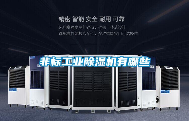 非標工業除濕機有哪些