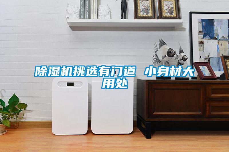 除濕機挑選有門道 小身材大用處