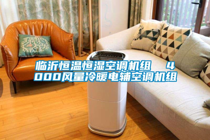 臨沂恒溫恒濕空調(diào)機組  4000風(fēng)量冷暖電輔空調(diào)機組