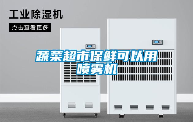 蔬菜超市保鮮可以用噴霧機