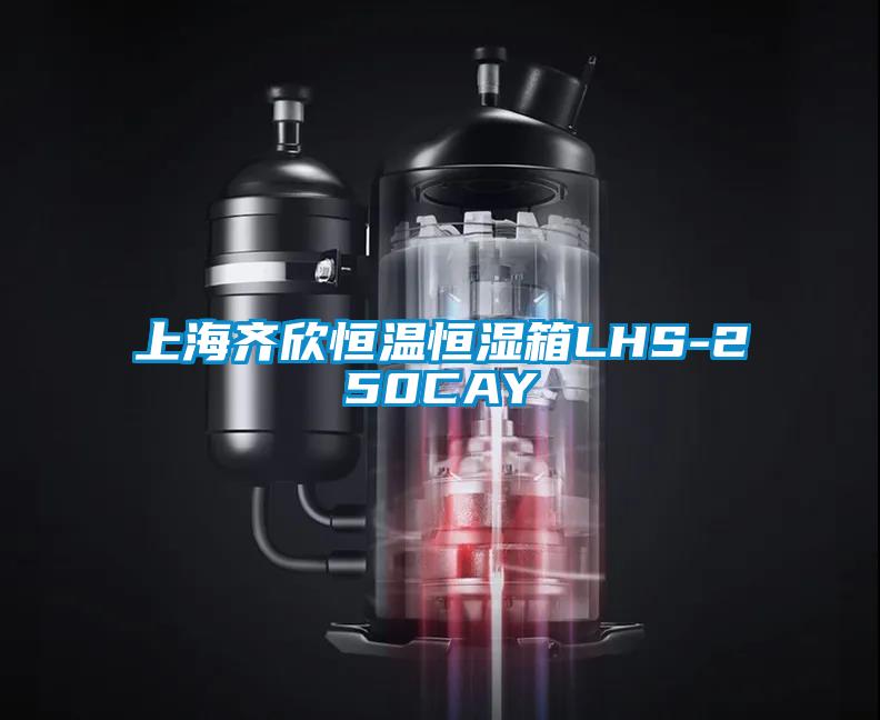 上海齊欣恒溫恒濕箱LHS-250CAY