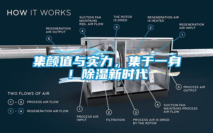 集顏值與實力，集于一身！除濕新時代