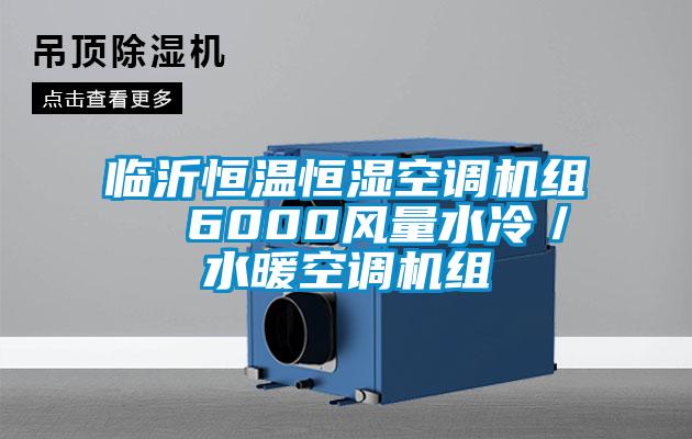 臨沂恒溫恒濕空調(diào)機(jī)組  6000風(fēng)量水冷／水暖空調(diào)機(jī)組
