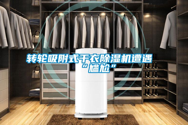 轉輪吸附式干衣除濕機遭遇“尷尬”